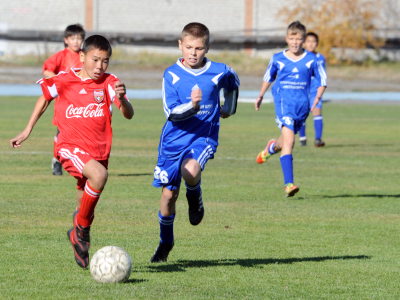 Healthy Living Support